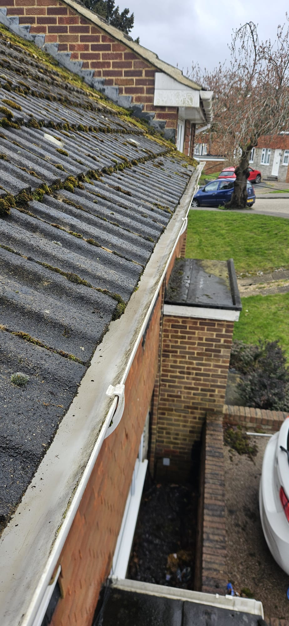 Gutter cleaning