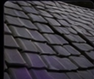 Roof cleaning